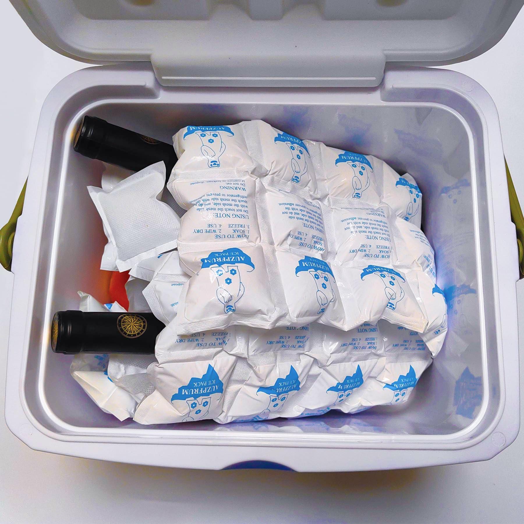 TarppedRock TarppedRock Dry Ice Pack for Shipping Frozen Food, Reusable Ice Packs for Coolers Long Lasting, Flexible Cold Packs Sheets for Lunch Box (5 Large Sheets)