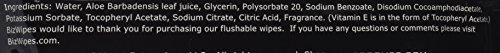 MANGROOMER MANGROOMER Biz Wipes Flushable Moist Personal Wipes Engineered for Men, Executive Scent, 50 Wipes (Pack of 6), 300 Count