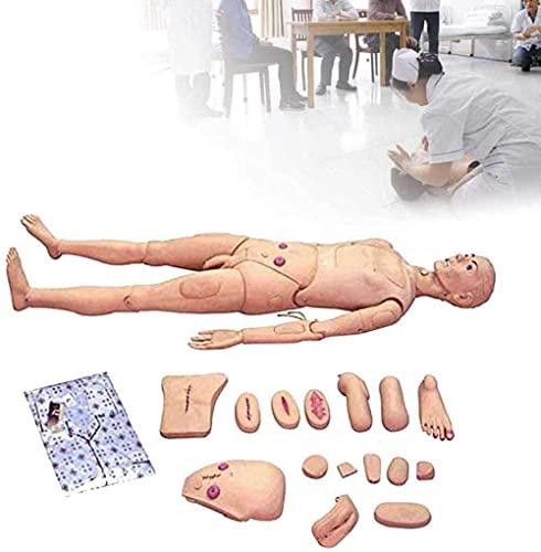 HIMFL HIMFL Multi-Functional Patient Care Simulator,170cm Life Size Nursing Training Manikin, for Training Teaching & Education Supplies