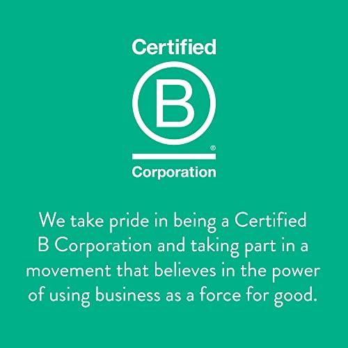 Stash Stash Tea Pomegranate Raspberry Green Tea - Caffeinated, Non-GMO Project Verified Premium Tea with No Artificial Ingredients, 30 Count (Pack of 6) - 180 Bags Total