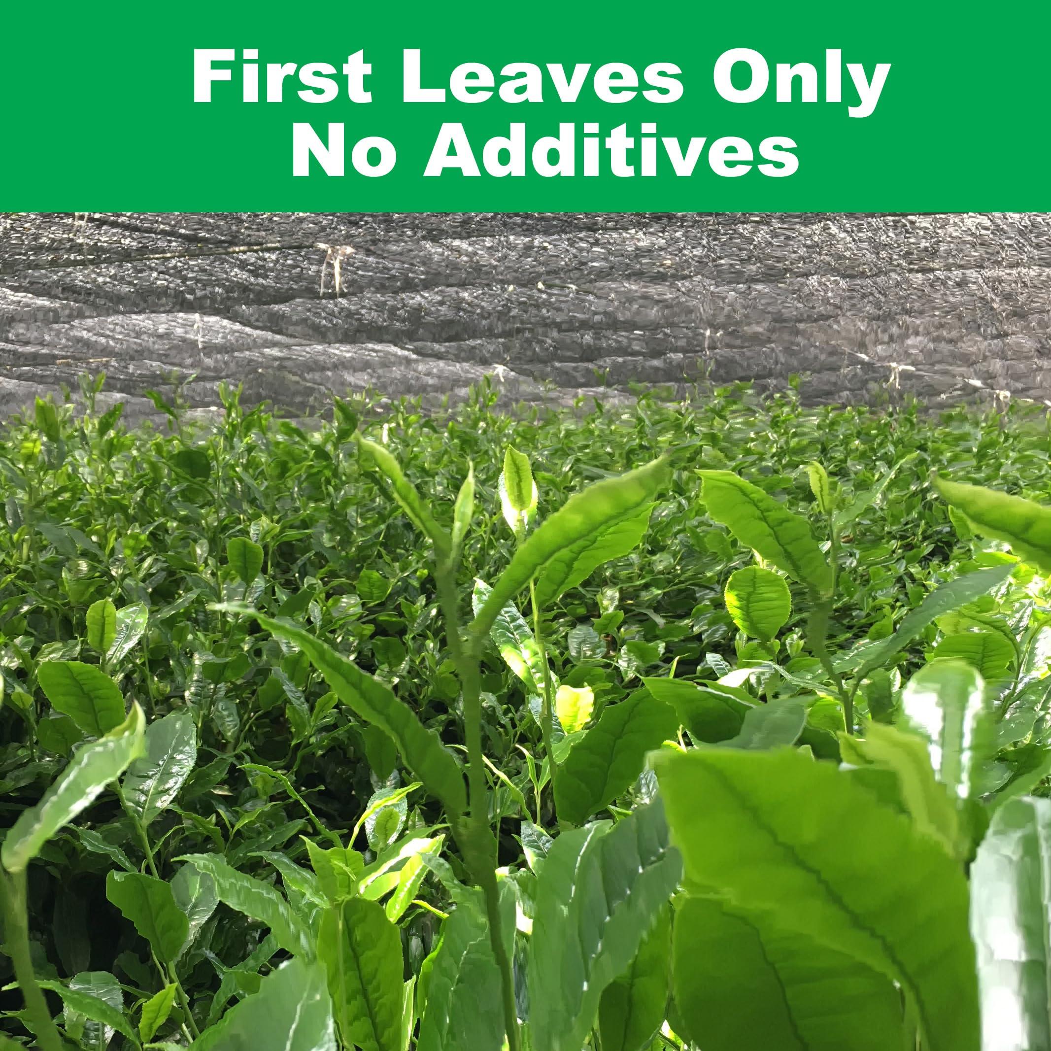 iMaccha [iMaccha] Ceremonial Grade Matcha Powder - Organic - Authentic Japanese Green Tea - Bulk (3.5 oz) - First Harvest - Kazuma