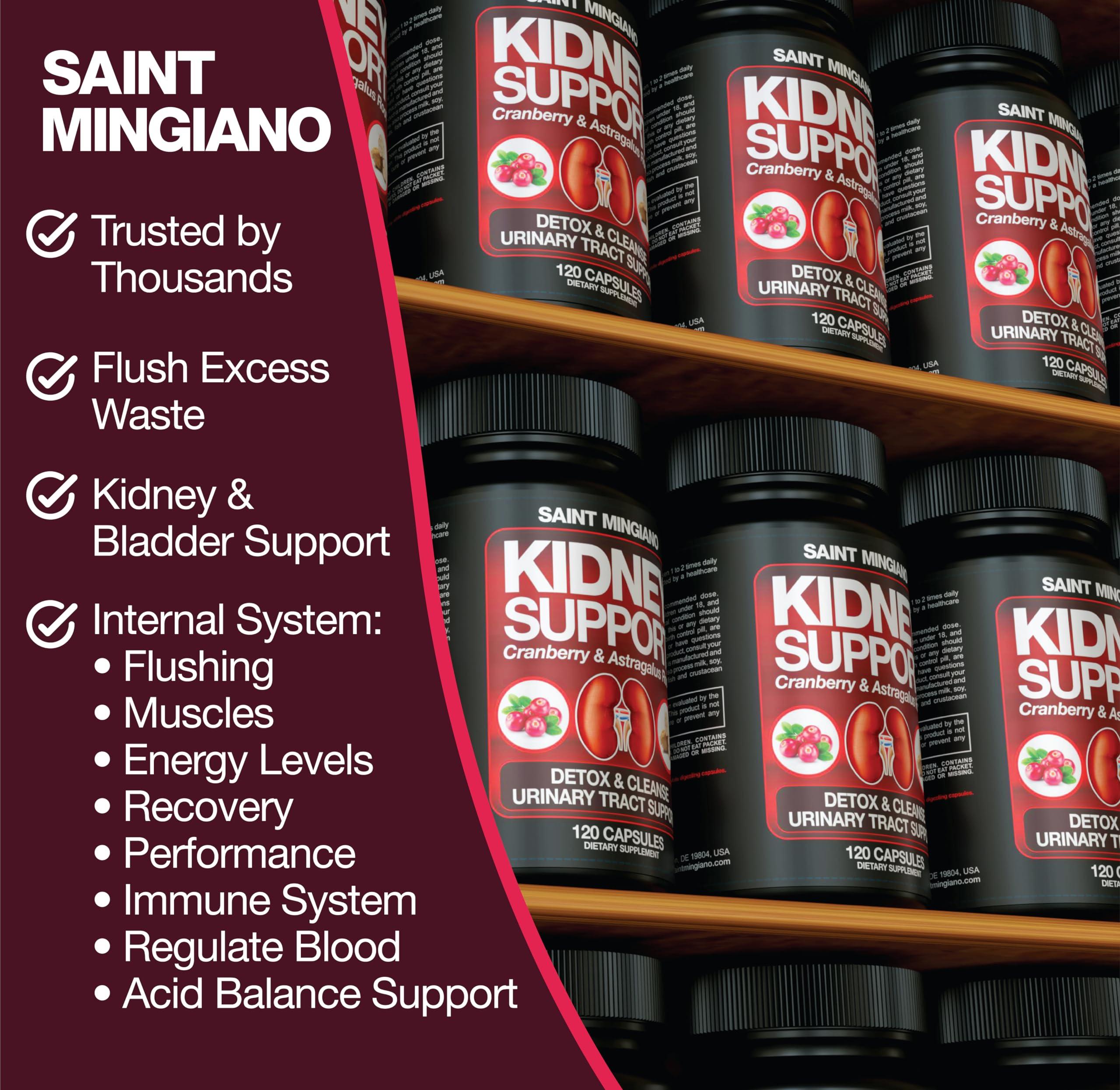 Saint Mingiano Saint Mingiano Kidney Support Cleanse Detox & Repair 120 Casuals - Together with - Men\'s Prostate Health Advanced Prostate Supplements - 120 Capsules