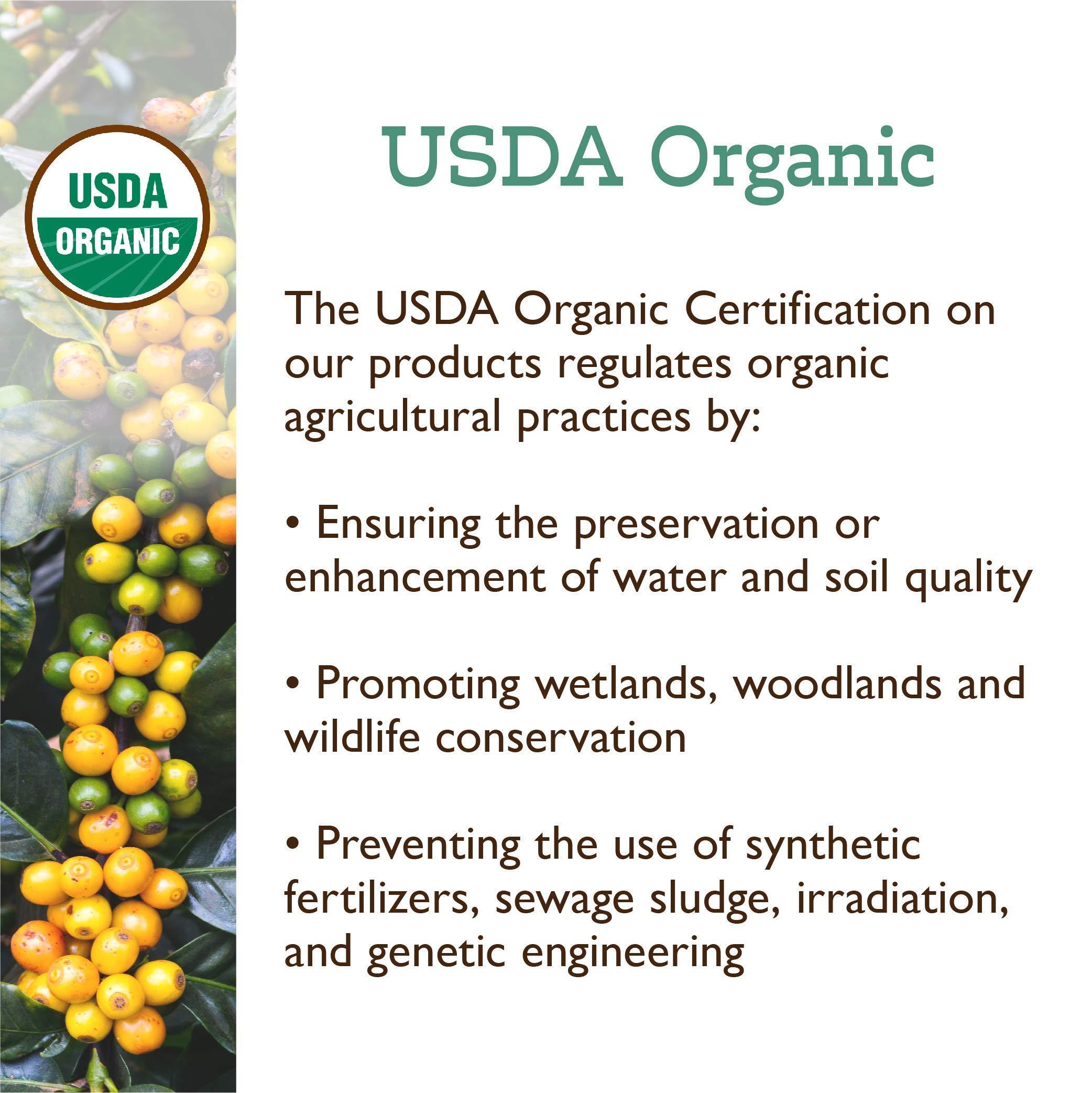 Fresh Roasted Coffee Fresh Roasted Coffee, Organic Dark Mexican, 12 oz, Dark Roast, Mold & Mycotoxin Tested, Kosher, Whole Bean