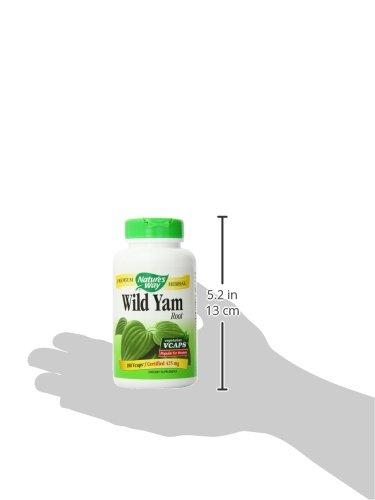 Nature's Way Nature's Way Wild Yam, 180 Vcaps, 425mg (Pack of 2)