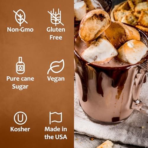 SYRUVIA Syruvia Smores Syrup for Coffee - 25.4 fl oz. Sweet Coffee Flavoring Syrup. Kosher and Gluten-Free. Perfect for Lattes, Smoothies, Shakes, Drinks, Desserts, and More.