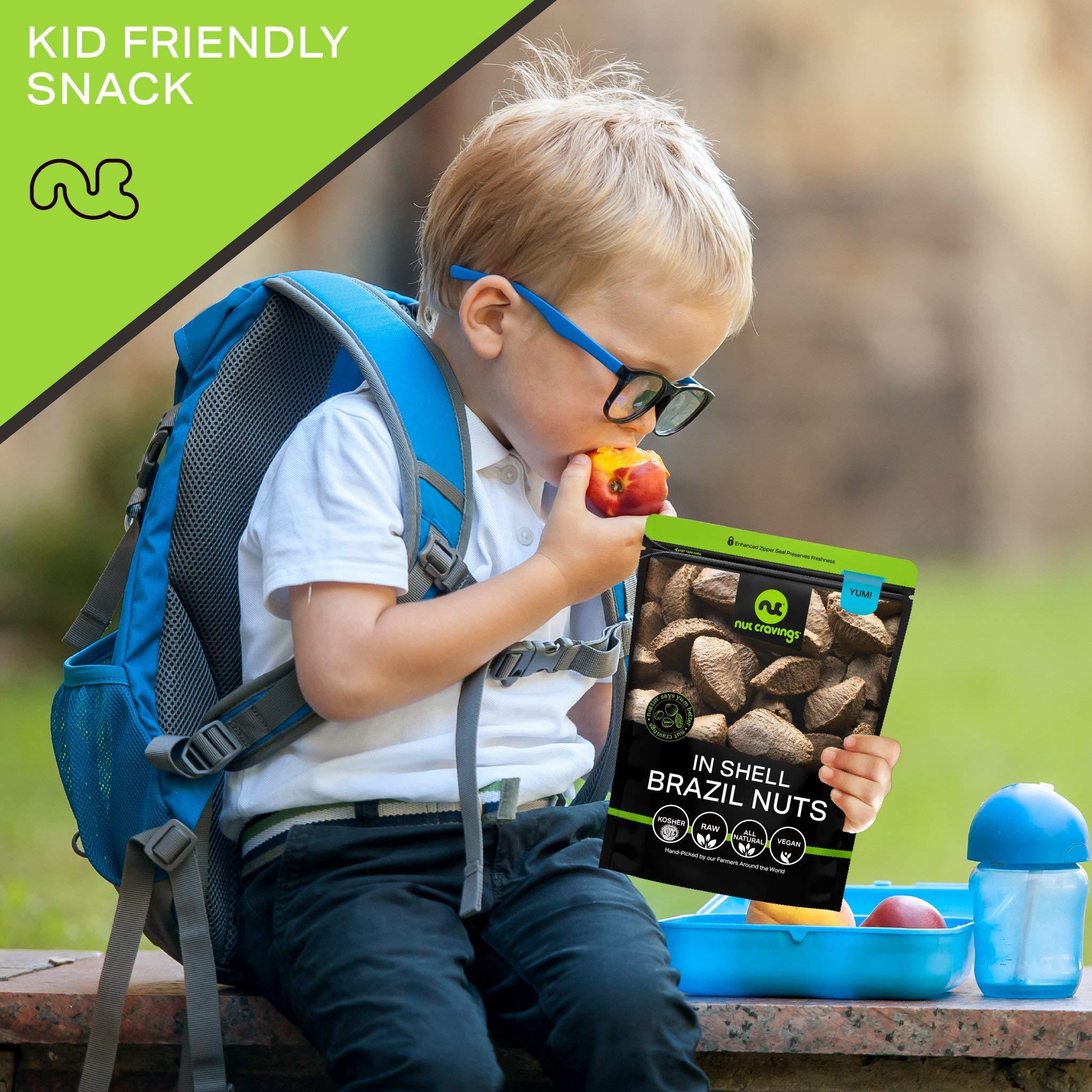 Nut Cravings NUT CRAVINGS - Raw Brazil Nuts In Shell - Whole, (16oz - 1 LB) Bulk Nuts Packed Fresh in Resealable Bag - Healthy Protein Food Snack, All Natural, Keto, Vegan, Kosher