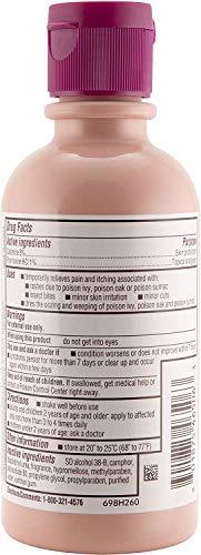 Caladryl Caladryl Pink Calamine Skin Protectant Plus Itch Relief, 6 Ounce Bottle (2 Packs(6.0 Ounce))