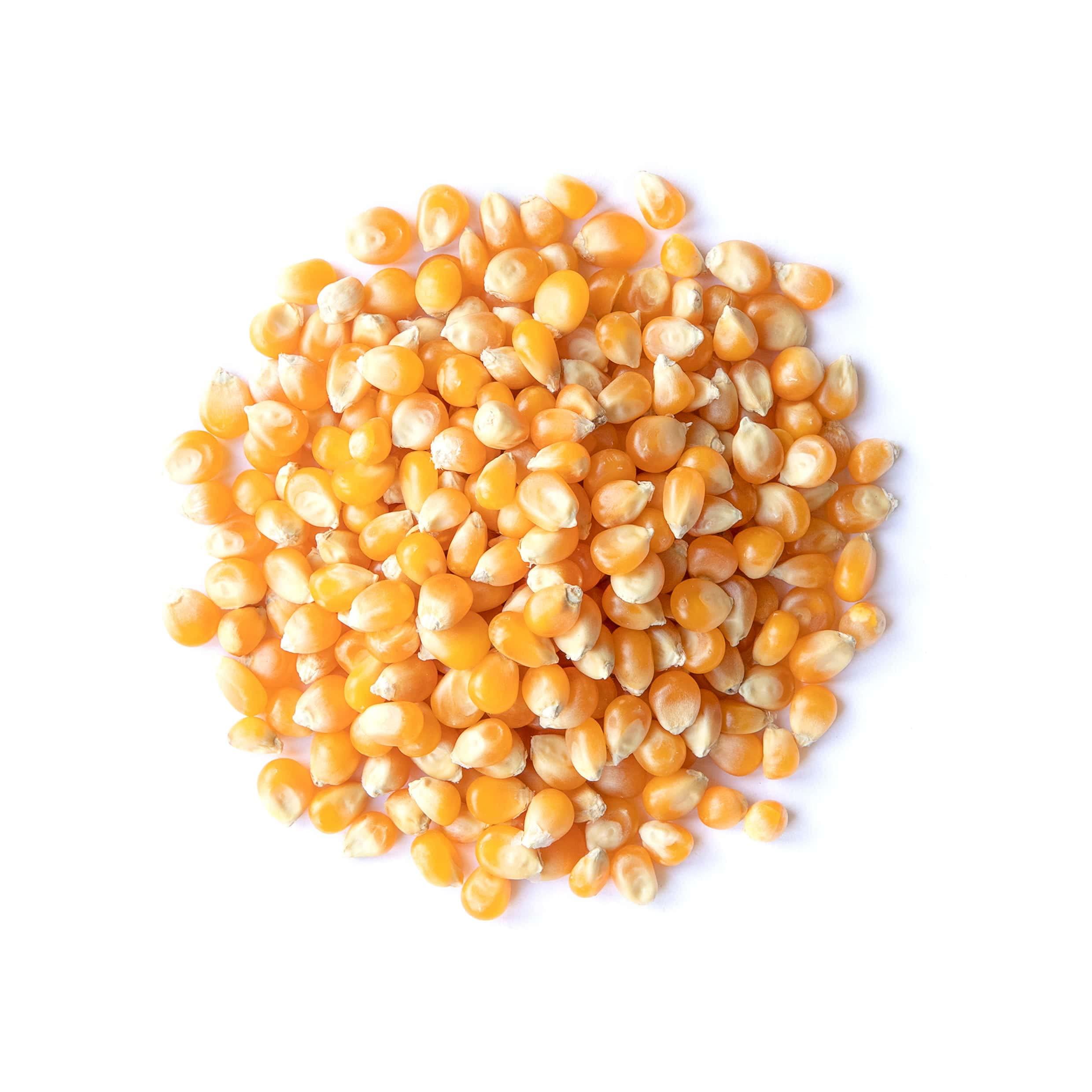 Food to Live Food to Live Organic Yellow Popcorn Non-GMO Corn Kernels, 100% Whole Grain, No Additives, No Preservatives, Vegan, Bulk. Theater-Quality Popcorn. Easy to Make. High Fiber, and Low-Calorie Snack