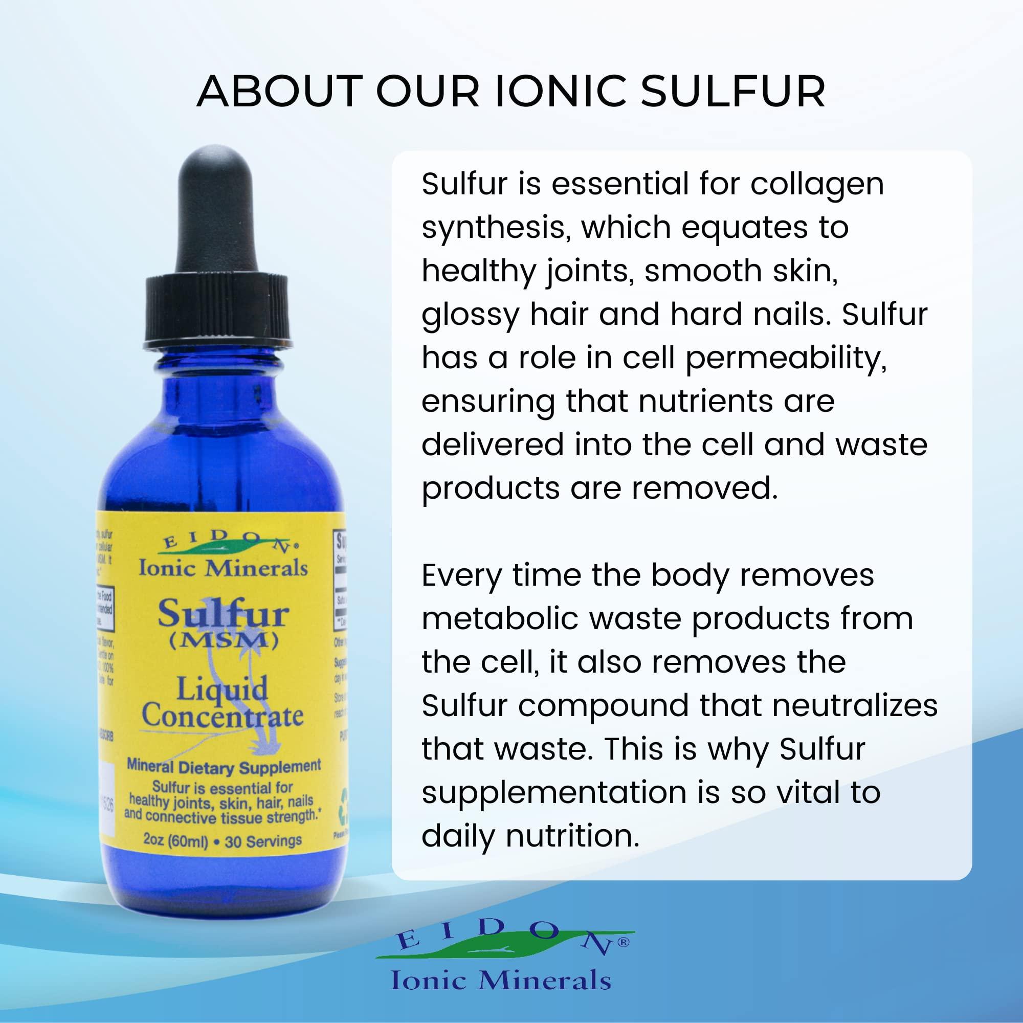 Eidon Ionic Minerals Eidon Ionic Minerals Liquid Sulfur Concentrate - Ionic MSM Sulfur Drops Supplement, Supports Healthy Joints, Smooth Skin, & Glossy Hair, No Preservatives or Additives - 2 Oz Bottle