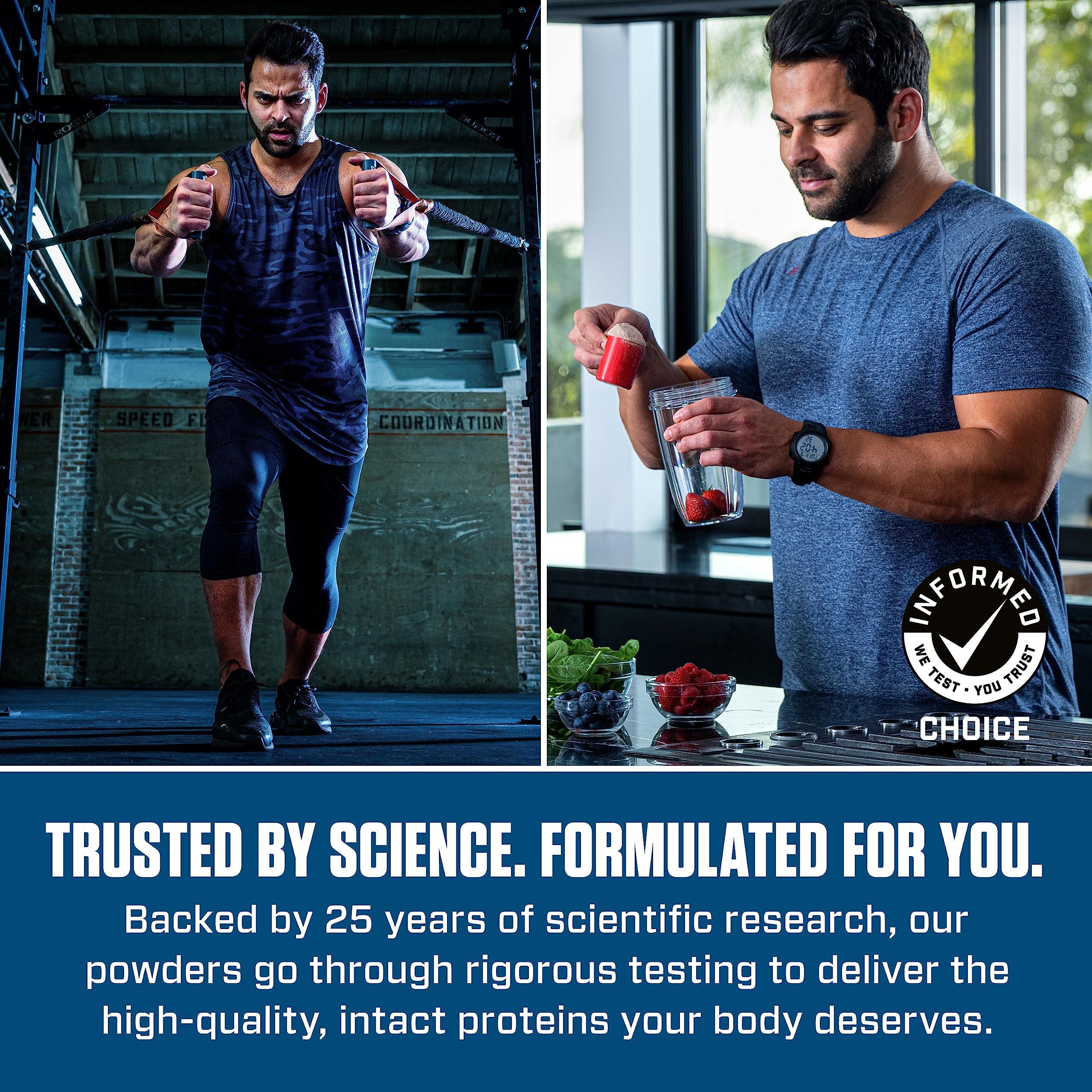 Dymatize Dymatize Elite 100% Whey Protein Powder, 25g Protein, 5.5g BCAAs & 2.7 L-Leucine, Quick Absorbing & Fast Digesting for Optimal Muscle Recovery, Rich Chocolate, 5 Pound, 63 Servings