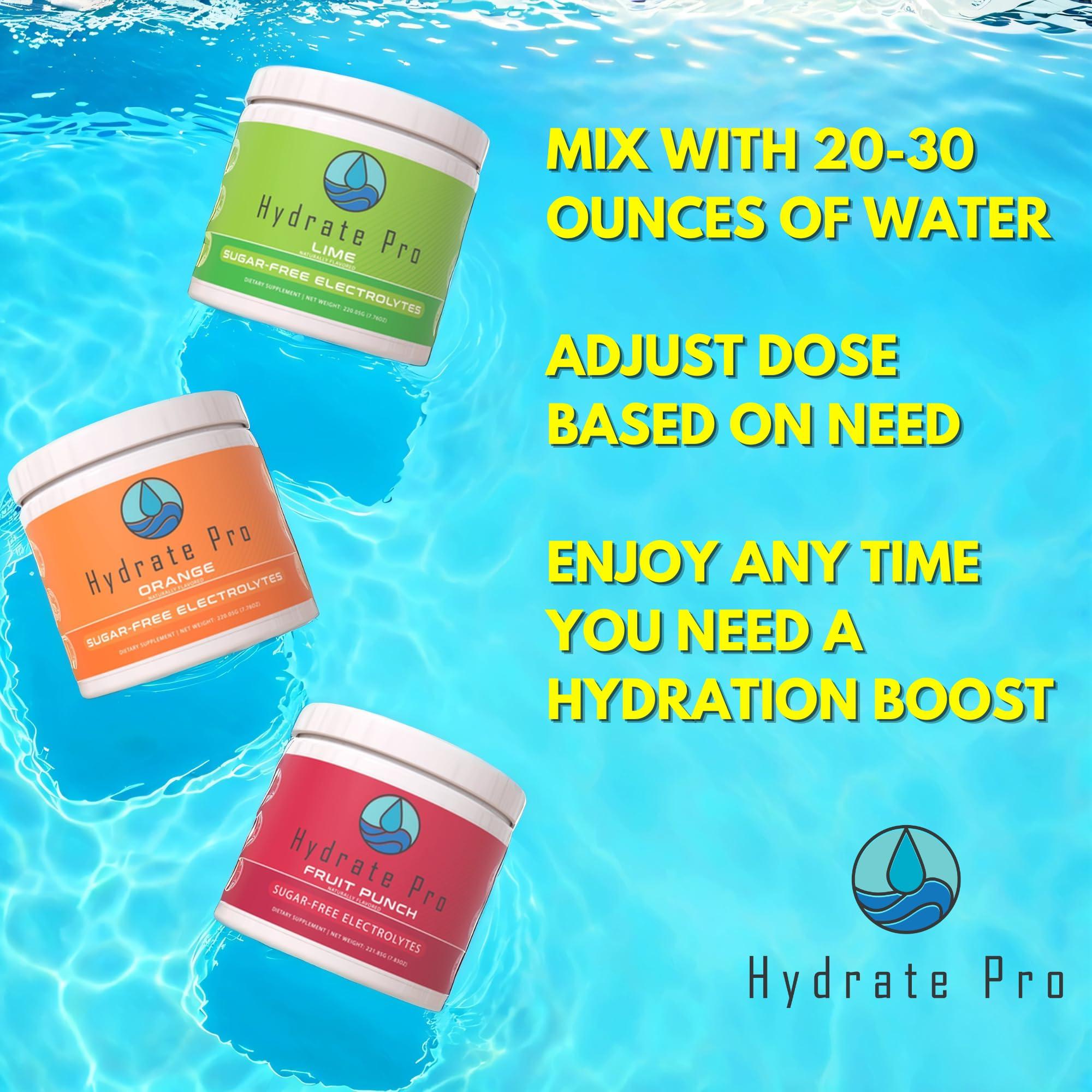 Hydrate Pro Hydrate Pro Sugar-Free Electrolyte Powder | 1000mg High-Sodium Electrolyte Complex | POTS Support & Keto Flu Prevention | 45 Servings Natural Hydration (Fruit Punch)