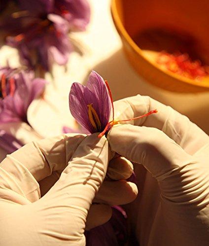 Zaffrus Zaffrus - Premium Saffron Powder for Cooking, Athletes, Specialty Drinks Fans - Pack of 5 (0.625 gr/ 0.022 oz)