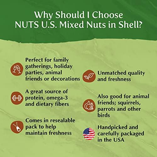 NUTS - U.S. - HEALTH IN EVERY BITE ! NUTS U.S. – Mixed Nuts In Shell (Almonds, Walnuts, Hazelnuts, Pecans) | No Added Colors and No Artificial Flavors | Fresh Buttery Taste and Raw |Packed In Resealable Bags!!! (6 LBS)