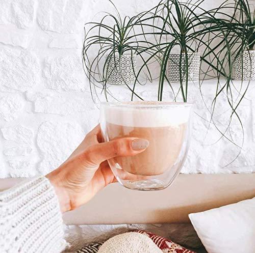 Prana Chai Prana Chai Agave Blend - Vegan Friendly