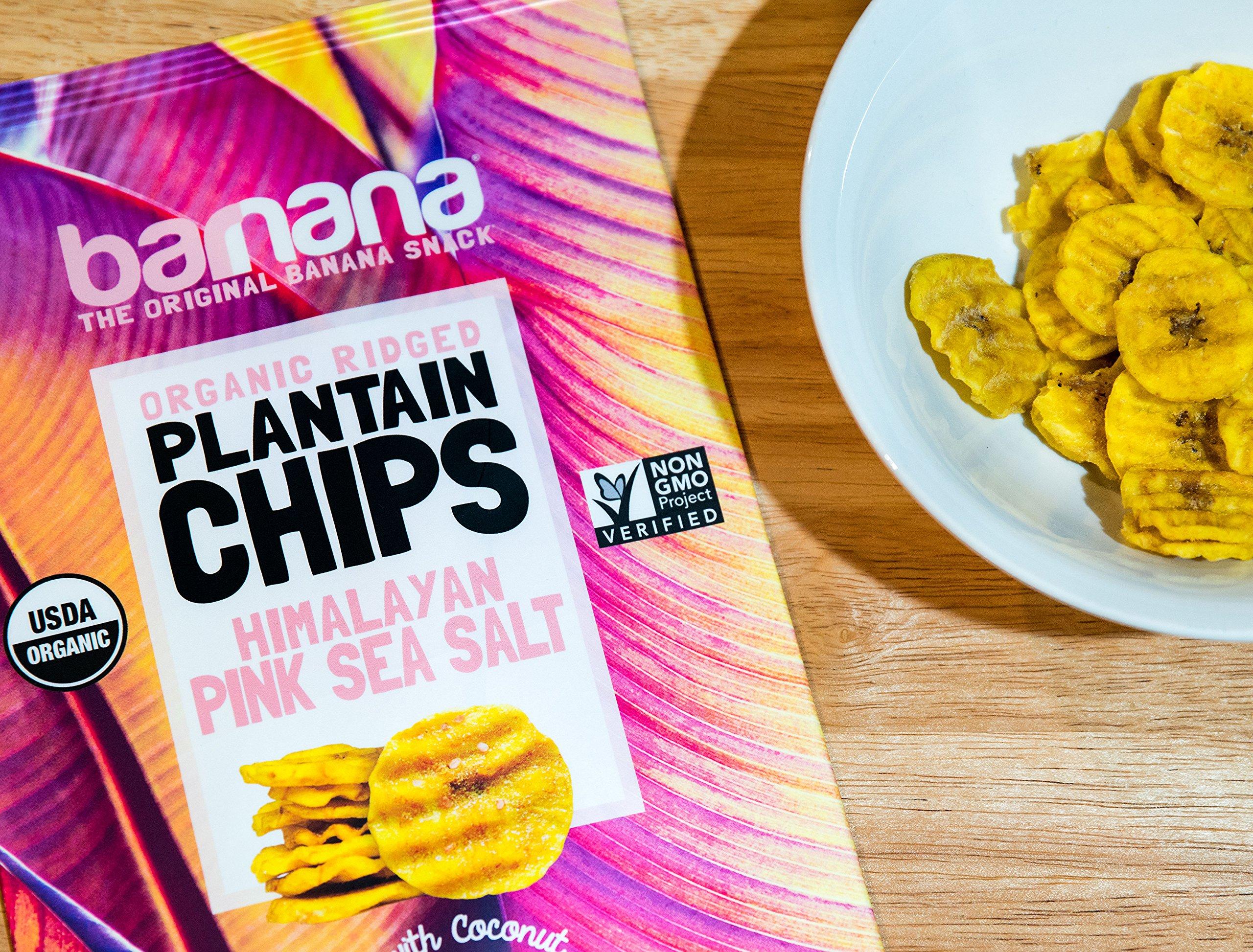 Barnana Barnana Organic Plantain Chips, Himalayan Pink Salt, Paleo, Vegan, Grain Free Chips,5 Ounce (Pack of 3)