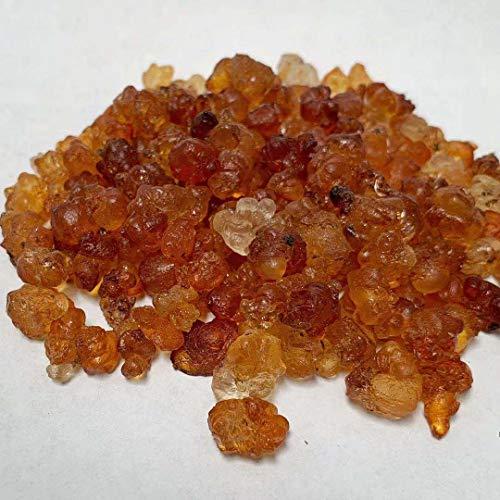 Trustworthy Herbs ?? (1 LB) Tao Jiao / Prunus Persica