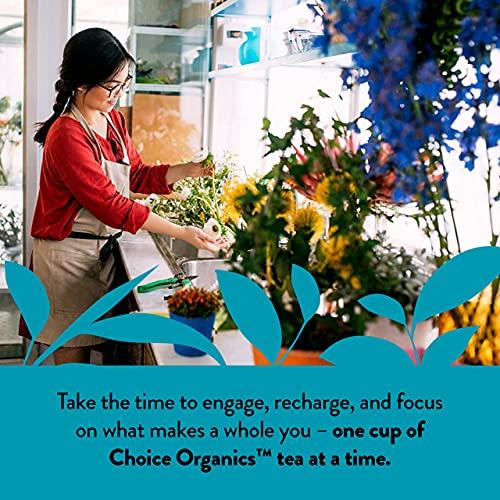 Choice Organics Choice Organic White Elderflower & Green Tea, Caffeinated, 16 Bags (Pack Of 6)
