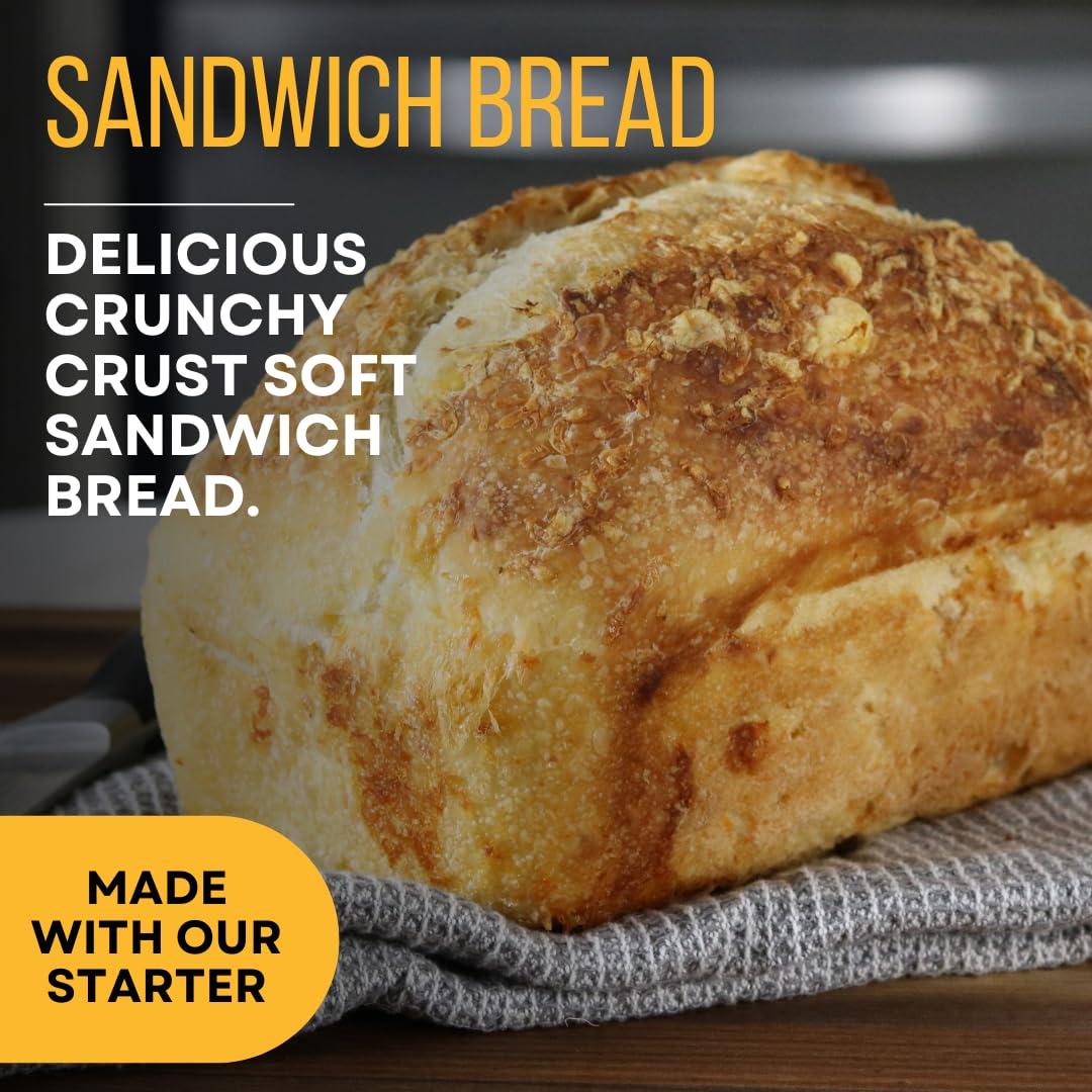 So Blessed Better Bread Premium Heirloom Sourdough Starter Culture So Blessed Heirloom Style Freeze Dried Starter Culture for Baking Sourdough Bread | Perfect for Pancakes, Biscuits, Pretzels, & More | Non-GMO Prebiotic Artisan Bread | Made with Organic Ingredi