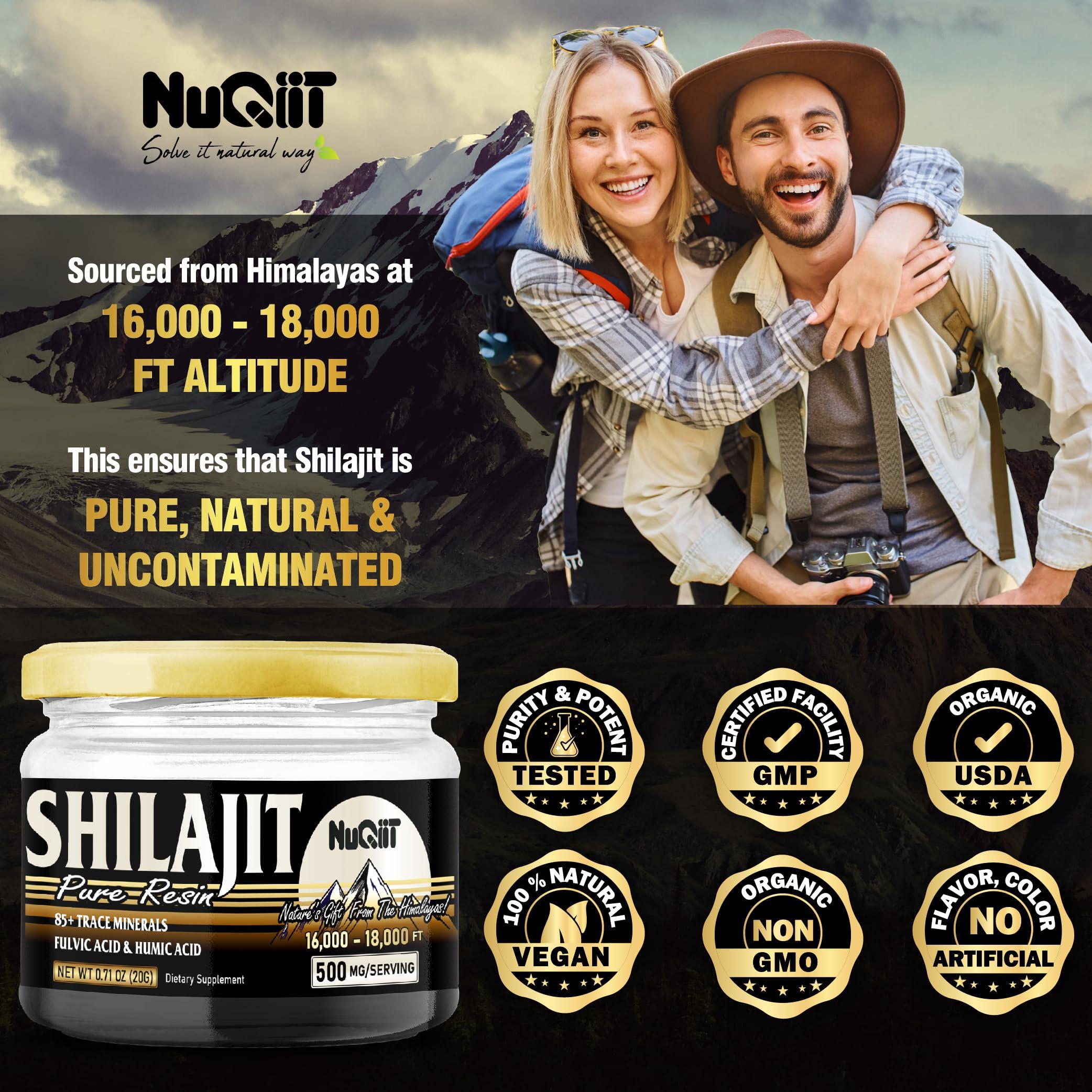 NUQIIT 2 Packs 20g Shilajit Supplement for 80-Serving Supply - Support Immunity, Brain Health & More - 500mg Shilajit Pure Himalayan Organic with Natural Fulvic Acid, Humic Acid & 85+ Trace Minerals