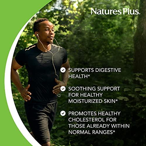 Nature's Plus NaturesPlus Lecithin Granules - 95% Soy Phosphatides, 12 oz - Lecithin Powder Supplement, Pleasant-Tasting, Oil-Free - Vegetarian, Gluten-Free - 45 Servings