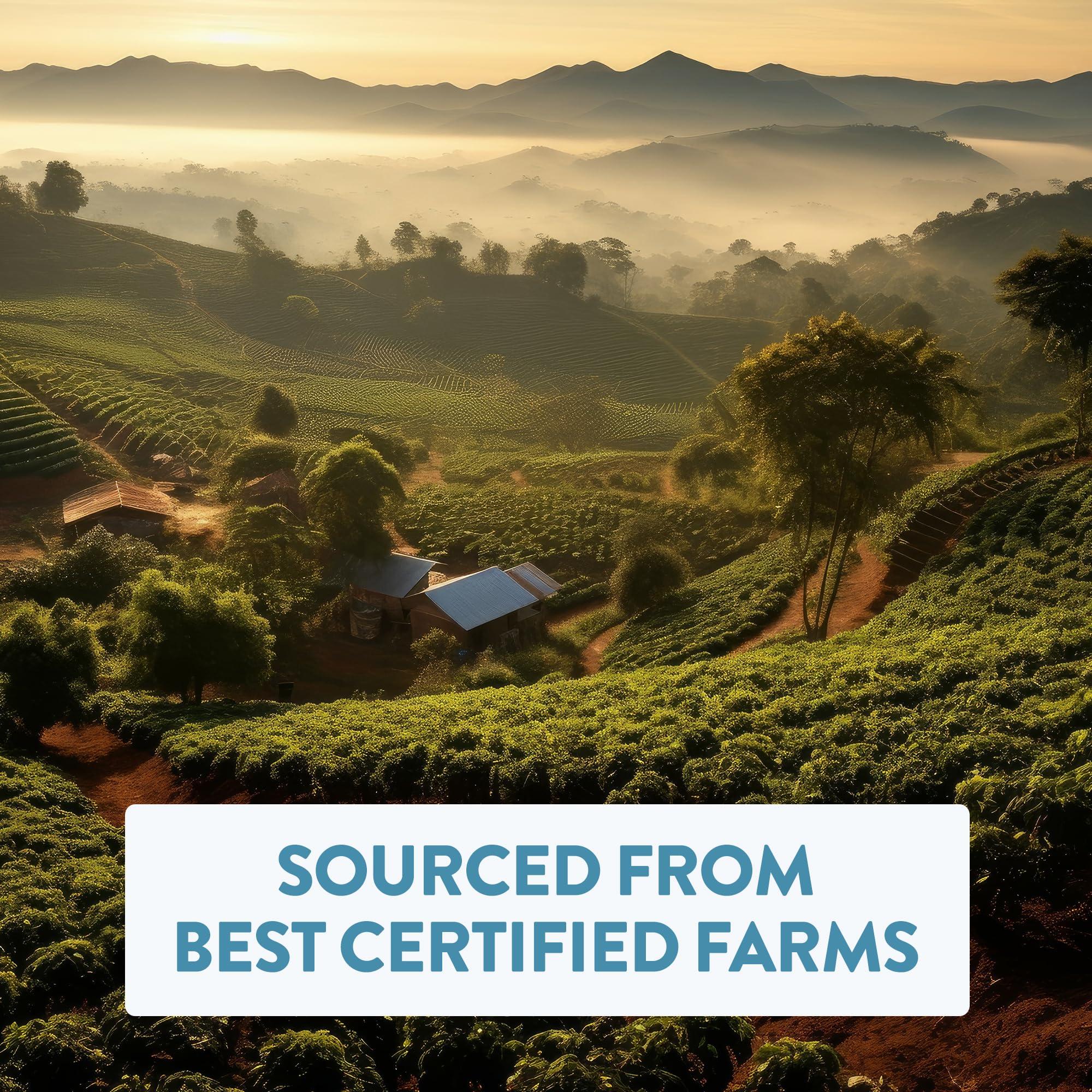 Generic Bali Blue Moon, Medium to Dark Roast Whole Bean Coffee Organic Low Acidic Fresh Roasted Speciality 2 lb.