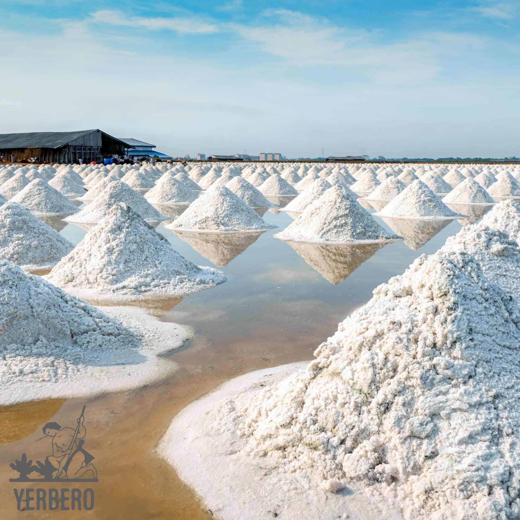 YERBERO Yerbero - Premium Colima Sea Salt Unrefined 8 oz (223 g) | 100% All Natural Sea Salt, Gourmet Grade, Non GMO\'s. | Hand Harvested | Imported From Lagoon Cuyutln Tepalcates Colima, Mexico.