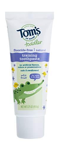 Tom's of Maine Tom\'s of Maine Toddlers Fluoride-Free Natural Toothpaste in Mild Fruit Gel, 1.75 Ounce
