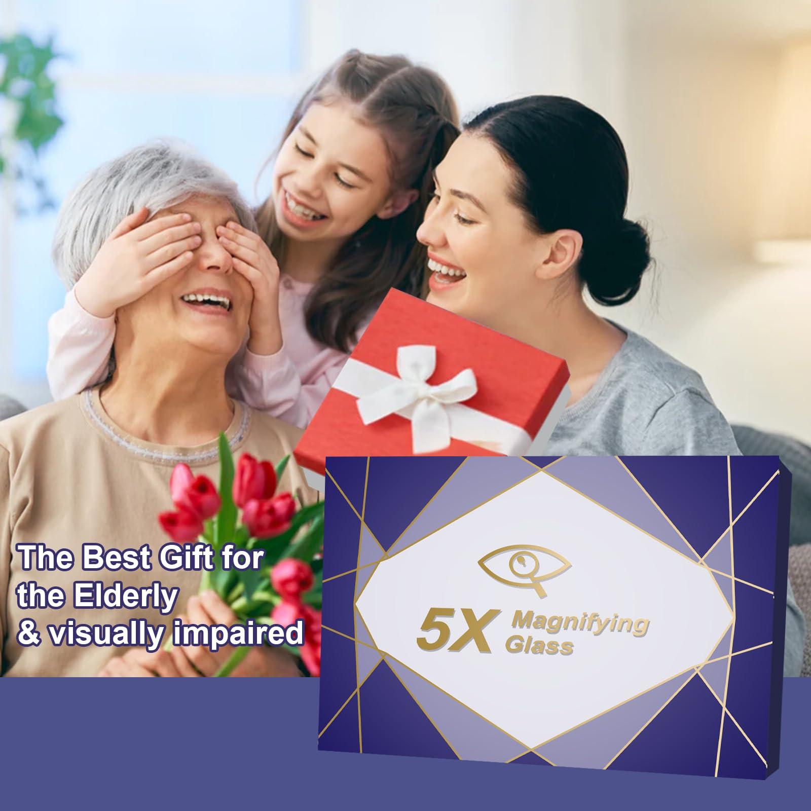 molebe 5X Large Page Magnifying Glass for Reading, Full-Page Viewing Area Magnifier Handheld Lightweight Magnifier for Reading Seniors and Low Vision Person Blue