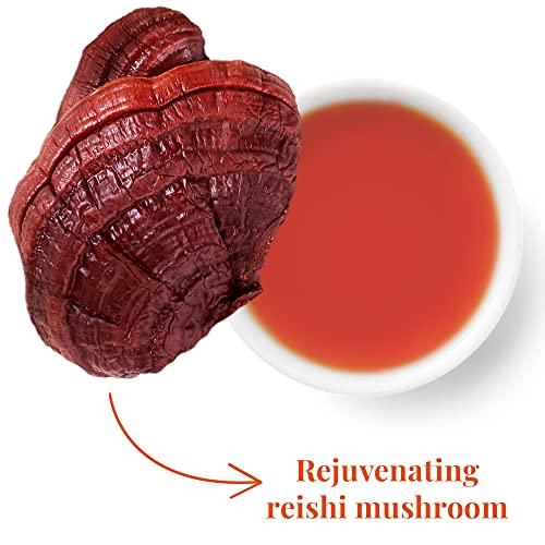The Republic of Tea The Republic of Tea - Restore and Reset SuperAdapt Herbal Tea, 36 Tea Bags, Organic, Caffeine Free, Reishi Mushroom and Cocoa Herbal Tea