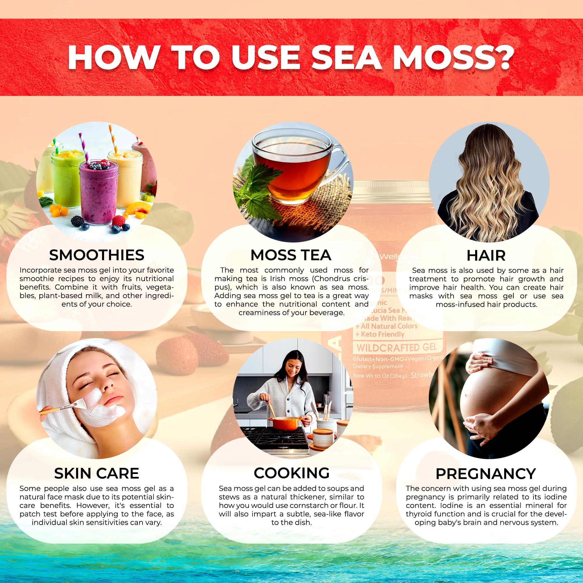 WELLNESS LABSRX Irish Sea Moss Gel Organic Raw - Wildcrafted Superfood Seamoss Gel - Strawberry Flavor, Vitamin and Mineral-Rich from Pristine Caribbean Waters, Immune and Digestive Health Support - 10 oz.