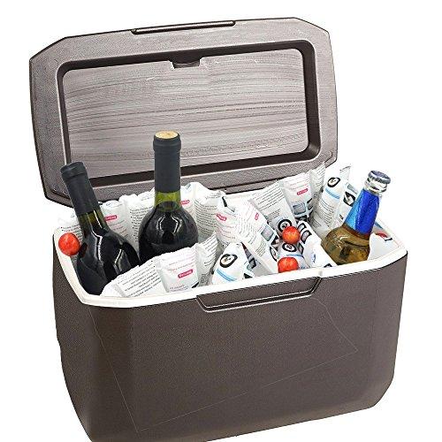 WORLD-BIO Shipping Cold Pack Ice Pack Sheets for Coolers Reusable, Dry Ice Packs Freezer Packs for Shipping Food, Flexible Ice Blankets Frozen Gel Packs Keep Food Fresh Beverage Cold, 13.3"x6.5"/Sheet 50 Sheets