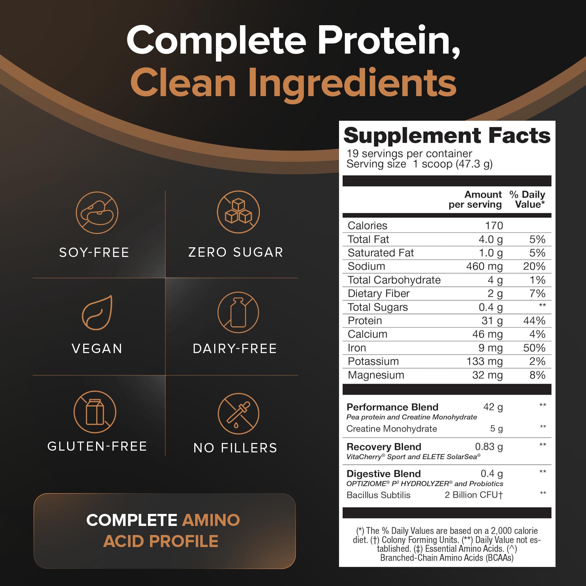 BIRDMAN Birdman Falcon Performance Vegan Protein Powder, 31g Protein, 5g Creatine, 5g BCAA, Probiotics, Electrolytes, Pre Workout, Low Carb, Sugar Free & Dairy Free, Plant Based Chocolate Protein -19 servings