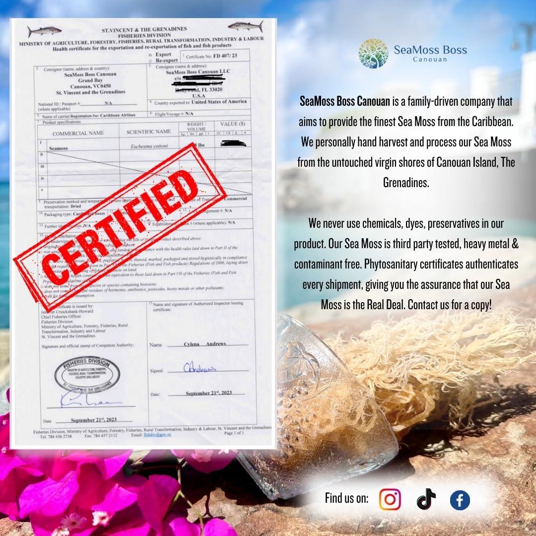 SeaMoss Boss Canouan SeaMoss Boss Canouan | Dried green sea moss | ocean harvested and sun-dried in the remote Grenadine Islands | Easy to use | Makes 300oz sea moss gel
