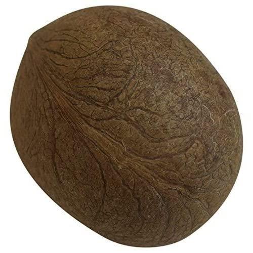 OM SHRI OM OM SHRI OM Dry Whole Coconut for Puja Indian Religious Ceremony