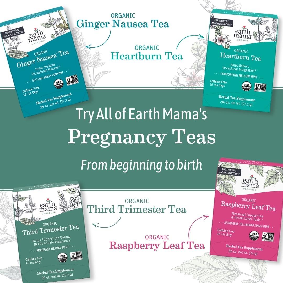Earth Mama Earth Mama Organic Ginger Nausea Tea | Comforts Occasional Nausea + Morning Sickness, 16 Teabags Per Box (6-Pack)