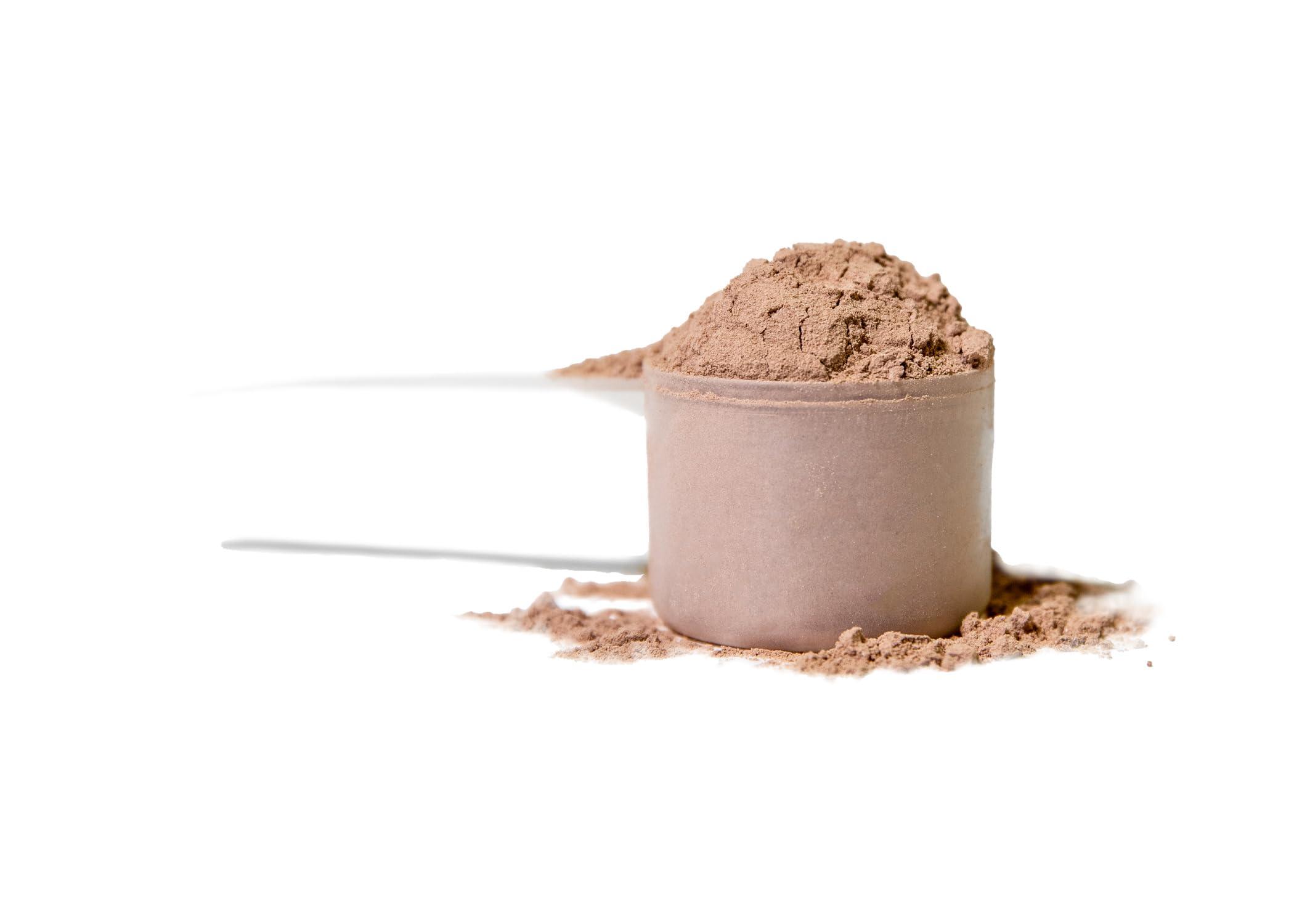 Tranont Tranont Nourish GOS Prebiotic Meal Replacement Shake | Brownie Batter Flavor | 14.3 oz | Supports Gut Health & Skin Care | Packed with Vitamins & Minerals | Vegan | Protein Powder | Vitamin C and B