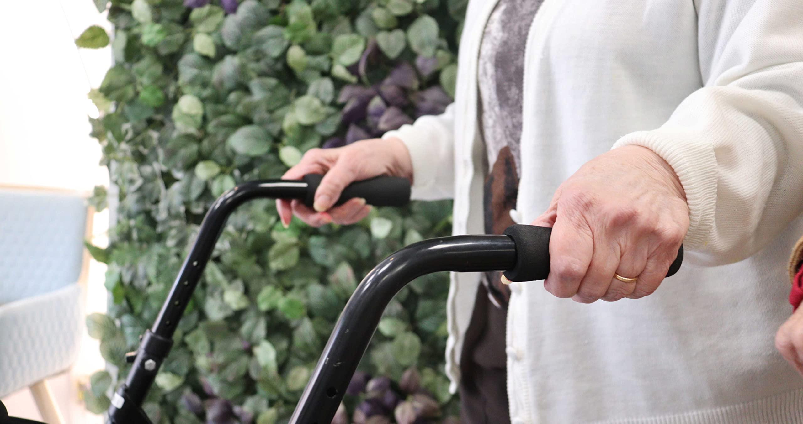 PEPE Mobility Pepe - Folding Walker with Wheels, Walkers for Seniors Foldable, Standard Walker with 2 Wheels, Front Wheeled Walker, Lightweight Walkers for Seniors, Narrow Rolling Walker.