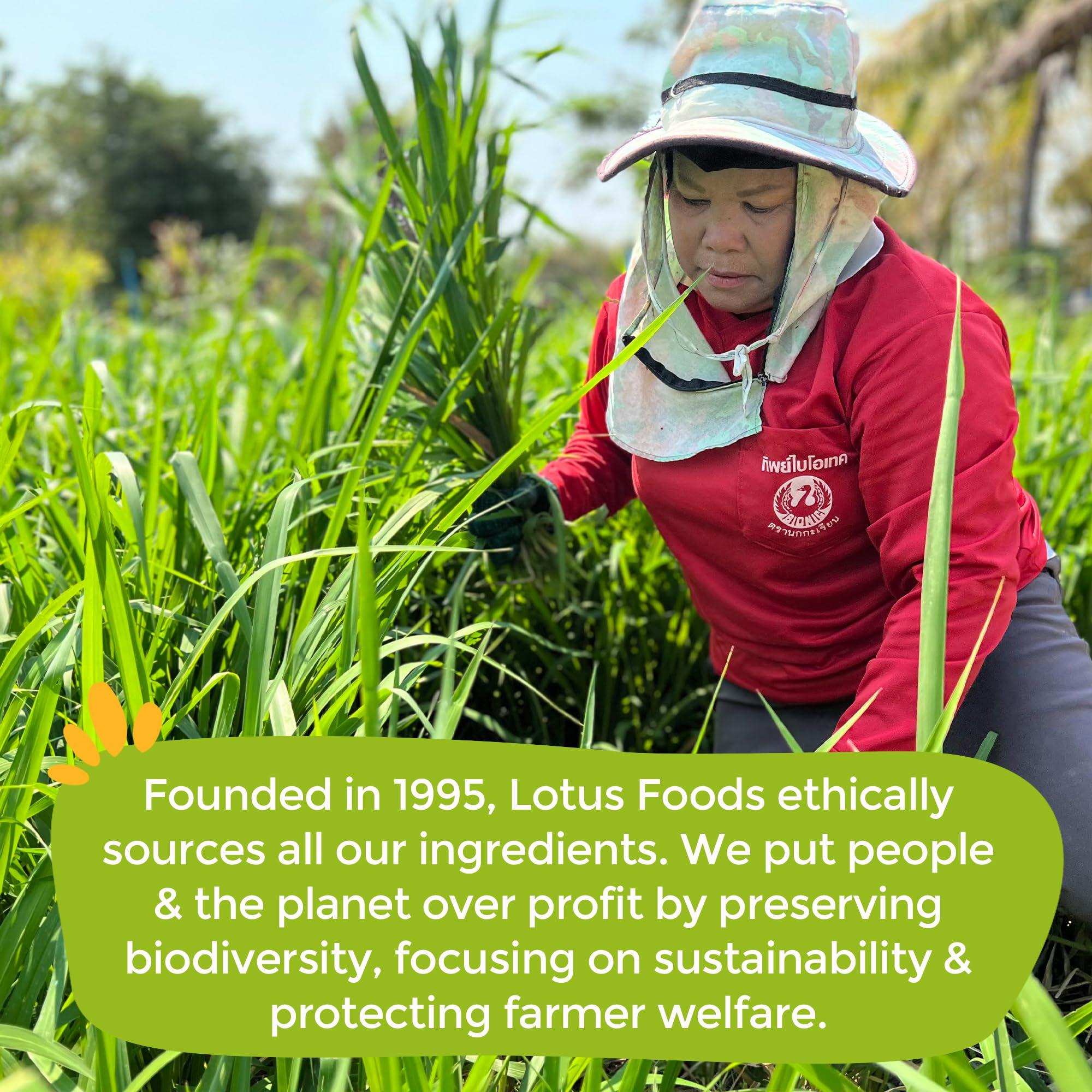 Lotus Foods Lotus Foods Traditional Pad Thai Rice Noodles - Pad Thai Noodles, Asian Noodles, Gluten Free Noodles, Rice Noodles, Whole Grain, Non GMO, USDA Organic - 8 Oz (Pack of 8)