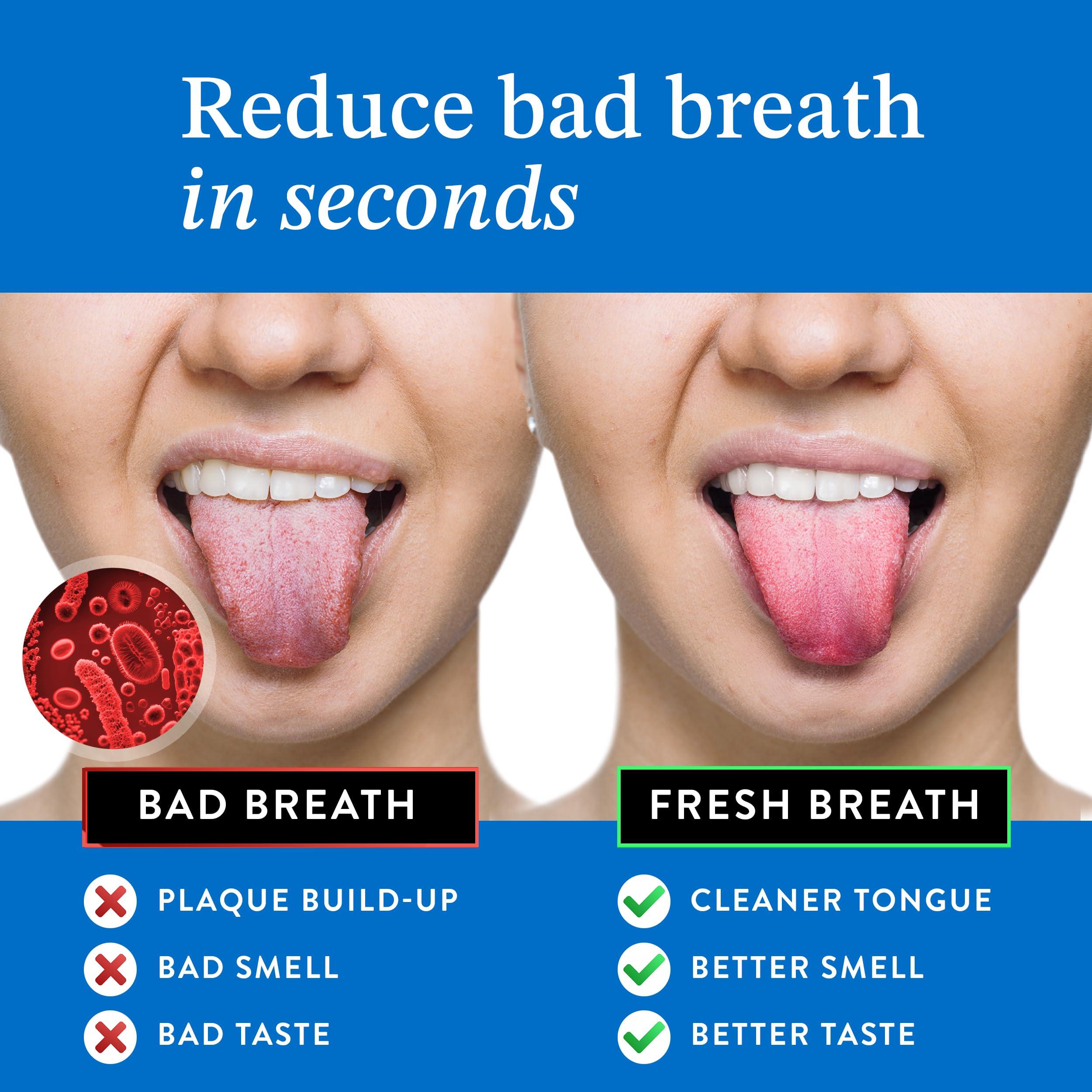 Mouthology Mouthology 10% Nano Hydroxyapatite Toothpaste (Fluoride Free) and Copper Tongue Scraper for Adults (2 Pack)