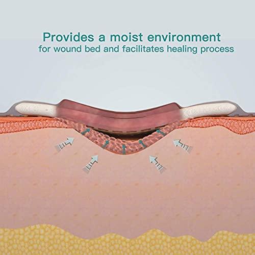 Dimora Dimora Calcium Alginate Wound Dressing with Silicone Wound Contact Layer