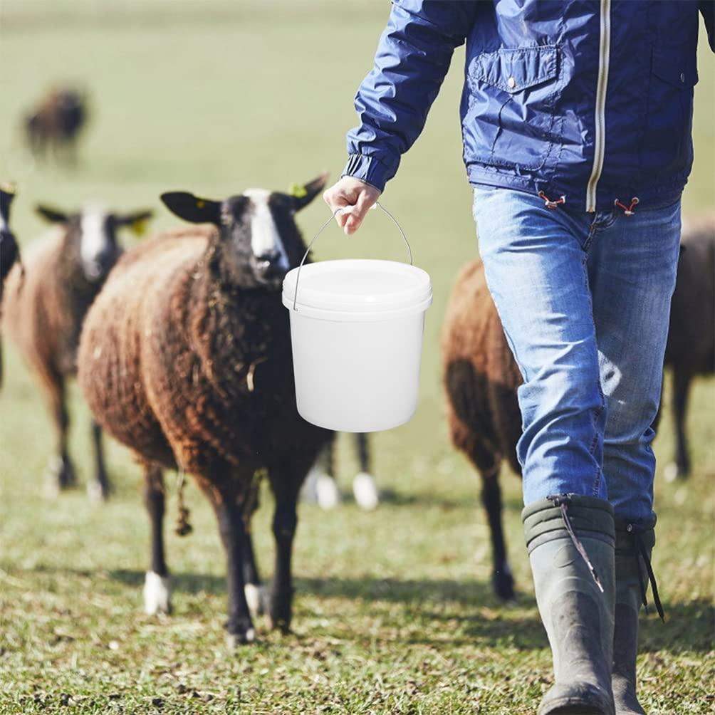 Housoutil Housoutil Water White Plastic Bucket with Handle Lid 8L Ice Cream Tub Heavy Duty Portable All Pail Bucket Container for Food Toy Treasure 5 Gallon Bucket 5 Gallon Bucket 5 Gallon Bucket