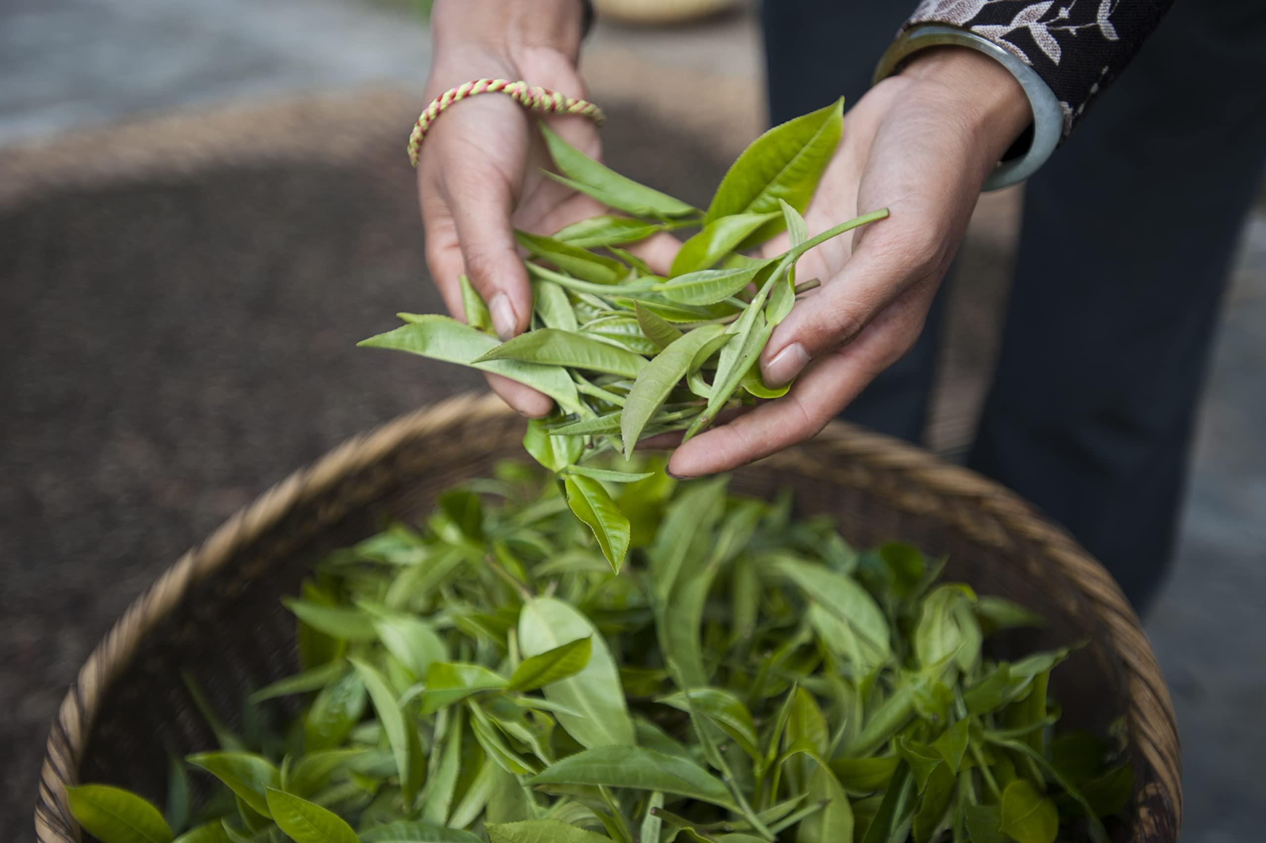 Palais des Ths Palais des Ths - Signature Tea Blends Collection - Premium Single Estate Big Ben English Breakfast Tea - 3.5oz Loose Leaf Metal Gift Tin