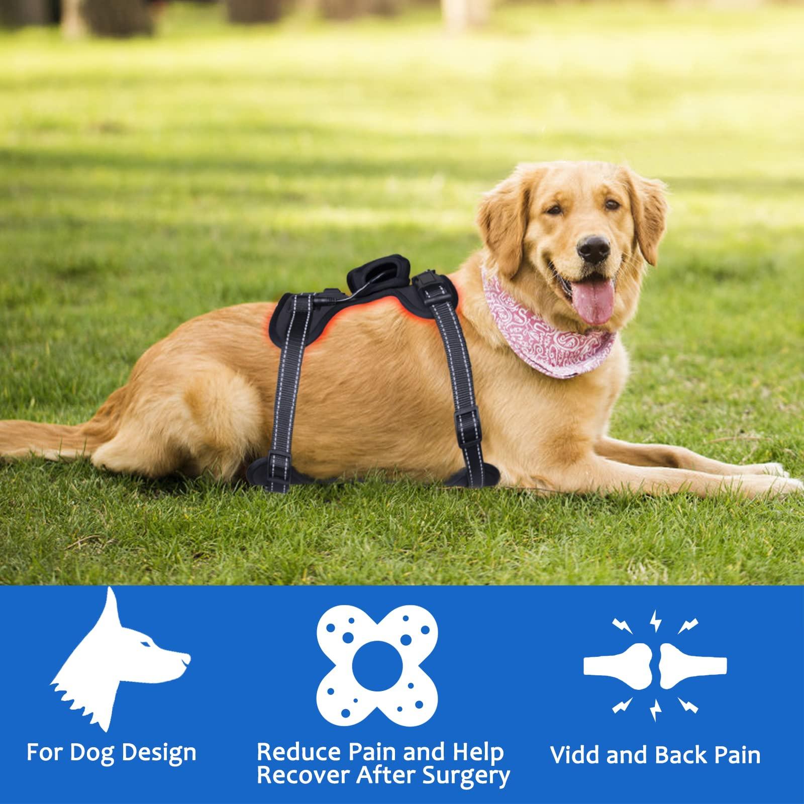 Dialudon Dialudon Dog Back Brace with Red Infrared Light Therapy for Muscle Joint Pain Relief, Red Light Therapy Devices for Dogs Home Light Therapy Adjustable Wrap for Arthritis, Back Pain, Surgical Recovery