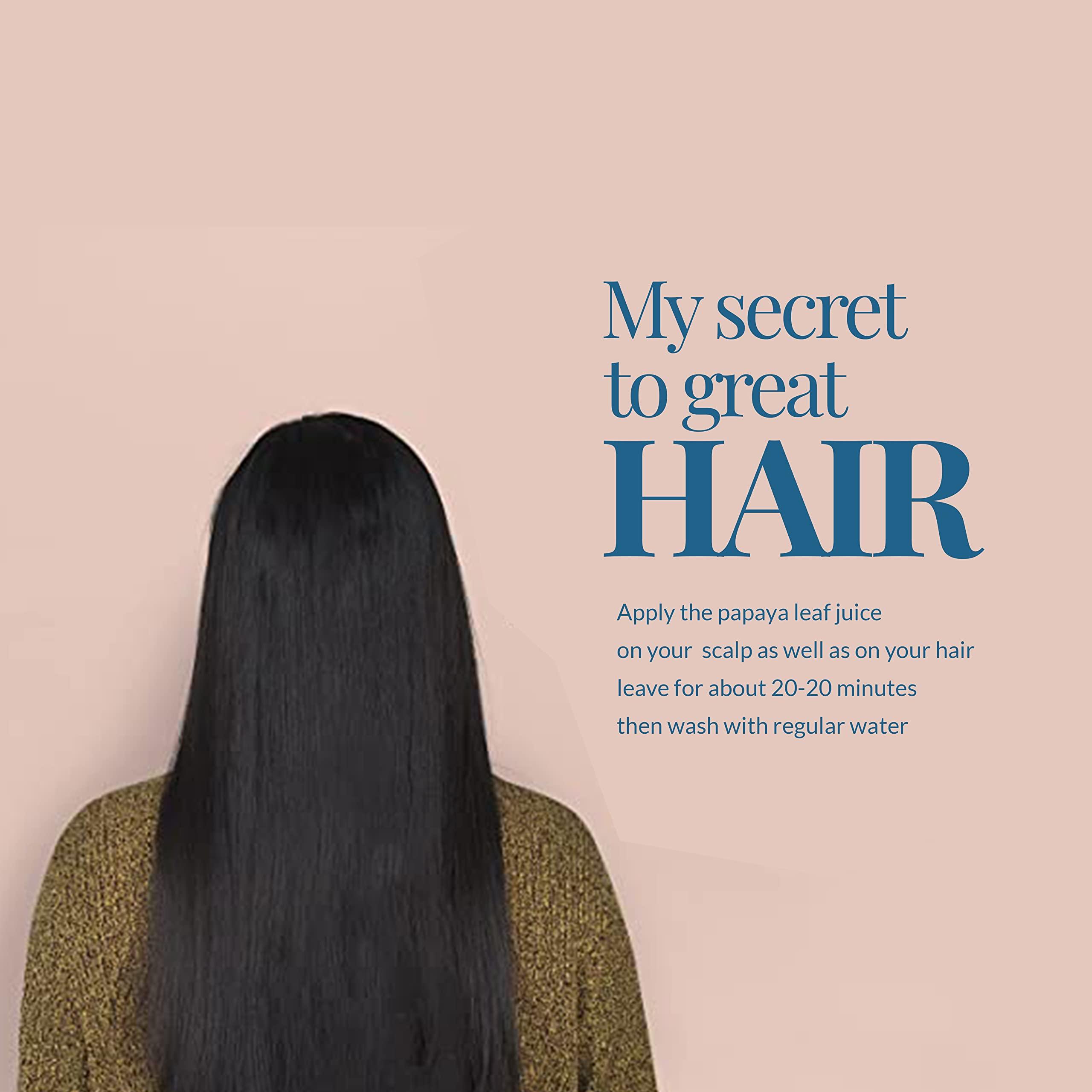 Akshit 10.4oz Dried Papaya Leaves, Hojas De Papaya, Pure from Papaya Leaves. Loose Leaf Papaya Herbal Tea. Papaya Leaf Tea, Non GMO, Gluten free.