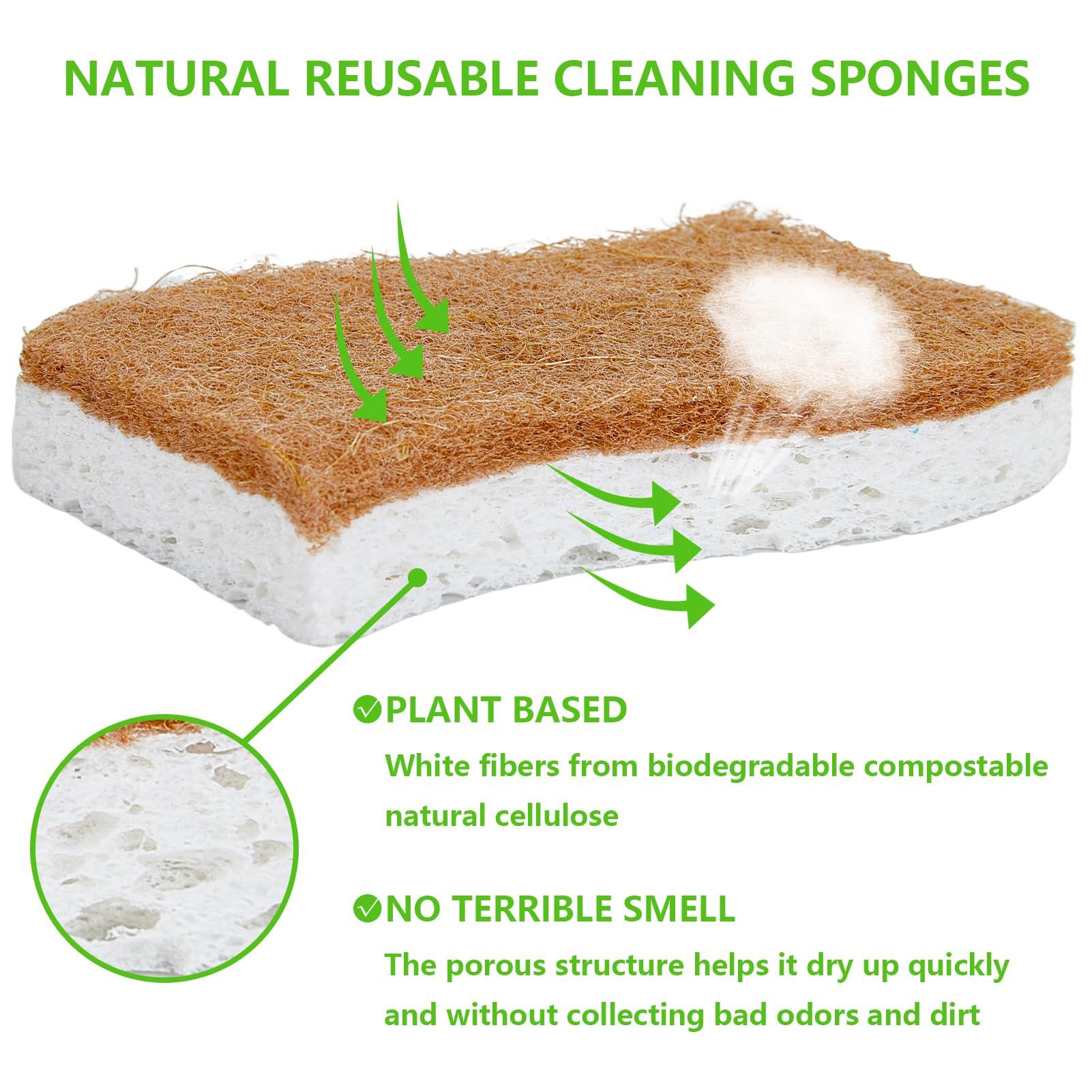 HileSwan 2 Pack Dish Brush with Handle, Dish Cleaning Brushes with Built-in Scraper, and 12 Pack Kitchen Sponges, Natural Dish Scrub Sponge, Non-Scratch Scrubber,