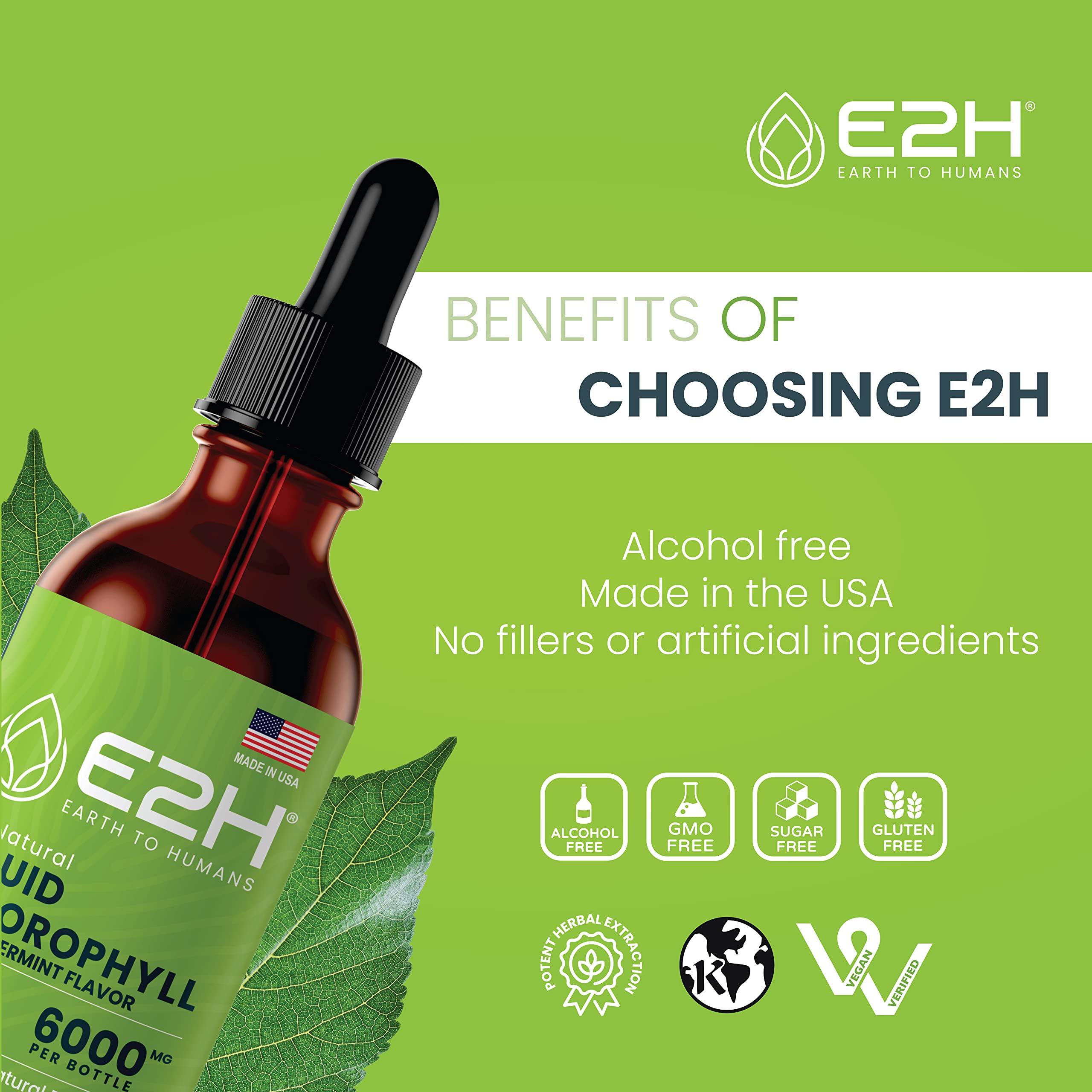 E2H EARTH TO HUMANS E2H Chlorophyll Liquid Drops - Natural Energy Booster, Immune System Support and Internal Deodorant - Peppermint Flavor - 2 Fl Oz