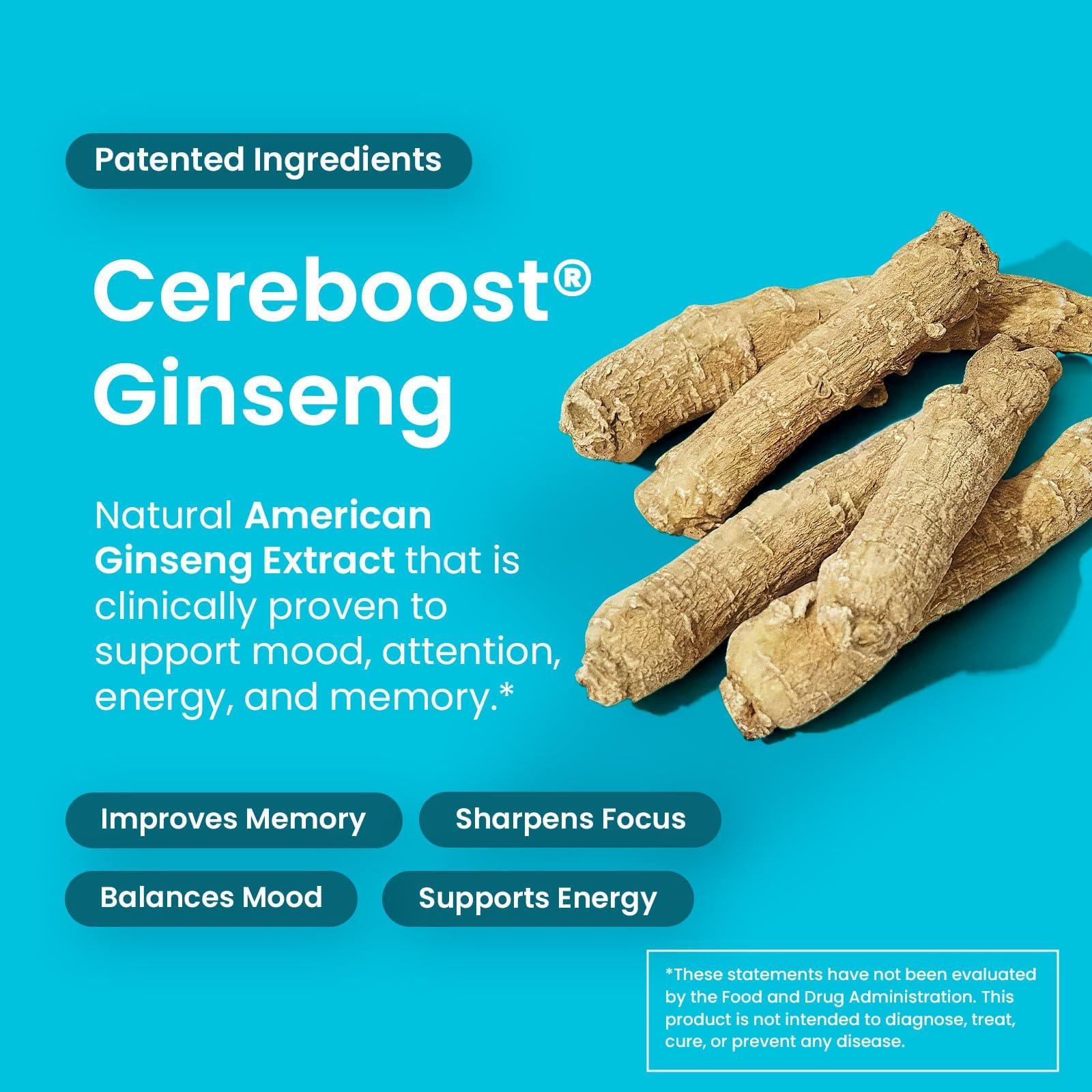 NeuroGum Neuro Memory & Focus Gum (90 Pieces) - Decaf & Sugar Free with American Ginseng, L theanine, Vitamin B12 & Vitamin B6 for Mental Alertness - Brain Supplements for Memory and Focus - Peppermint Flavor