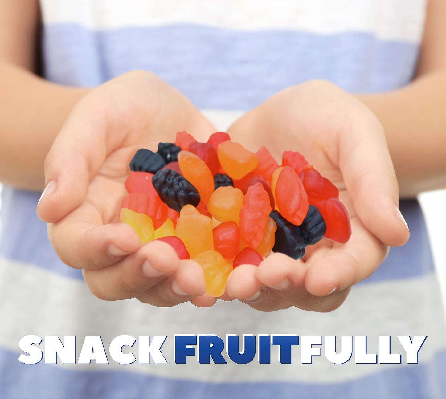 Welch's Welch's Fruit Snacks, Mixed Fruit, Gluten Free, Bulk Pack, 0.9 oz Individual Single Serve Bags (Pack of 66)