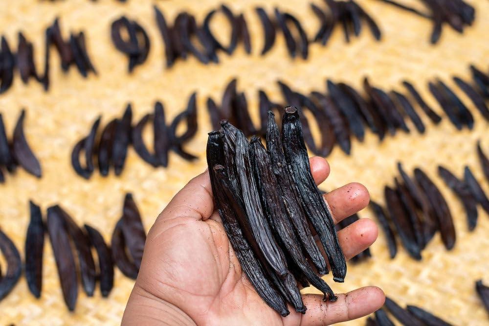 Vanilla Bean Kings 1 oz Guatemalan Vanilla Beans Whole Grade A Vanilla Pods for Homemade Vanilla Extract, Baking, Ice Cream, Flavoring, & Vanilla Powder