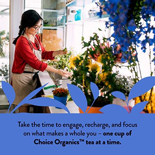 Choice Organics Choice Organics - Organic Decaffeinated Earl Grey Tea (3 Pack) - With Bergamot - Fair Trade - Compostable - 48 Organic Black Tea Bags